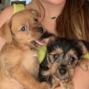 Meet your Posher, Lexie